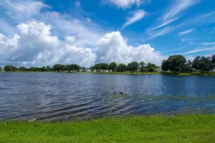 7669 Chasta Rd, Micco, FL 32976 - Photo 34