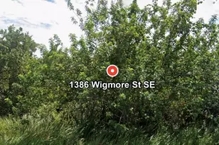 1386 Wigmore St SE, Palm Bay, FL 32909 - Photo 1