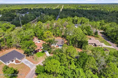 8760 N Vince Drive, Dunnellon, FL 34434 - Photo 42