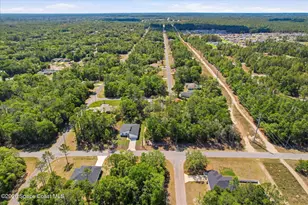 8760 N Vince Dr, Dunnellon, FL 34434 - Photo 44