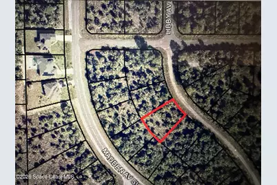 3028 Libby Avenue, Palm Bay, FL 32908 - Photo 2