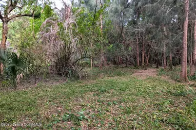 2465 Green Street, Melbourne, FL 32904 - Photo 8