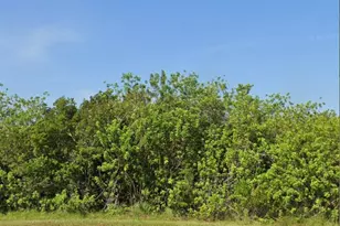 8 Stallion Ct, Palm Bay, FL 32909 - Photo 1
