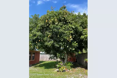 317 W University Boulevard, Melbourne, FL 32901 - Photo 6