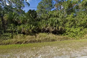 563 Ocean Spray St, Palm Bay, FL 32908 - Photo 1