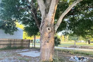 3020 Mary St, Melbourne, FL 32904 - Photo 8