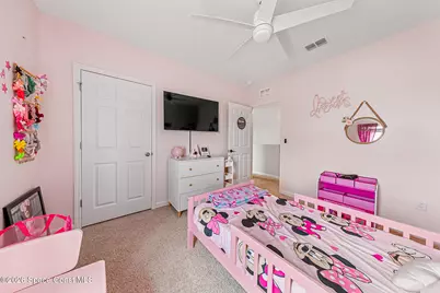 7251 Amethyst Avenue, Grant-Valkaria, FL 32949 - Photo 36
