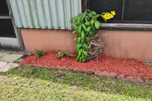 1963 Jackson Ave, Melbourne, FL 32935 - Photo 50