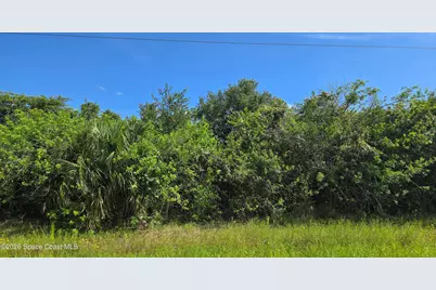 321 Buckskin Street, Palm Bay, FL 32909 - Photo 18