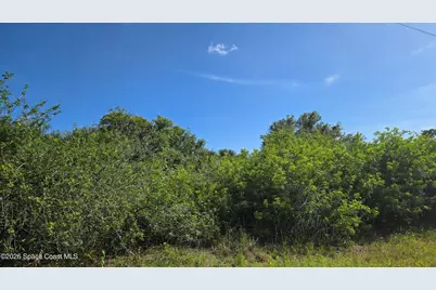 321 Buckskin Street, Palm Bay, FL 32909 - Photo 1