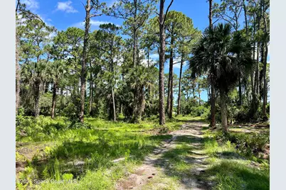 1142 Spangler Lane, Titusville, FL 32796 - Photo 8
