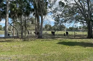 368 Stephenson Dr, Melbourne, FL 32904 - Photo 58