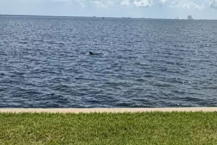 2469 S Washington Ave, Titusville, FL 32780 - Photo 12
