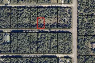 839 Bluejay Street SW, Palm Bay, FL 32908 - Photo 1