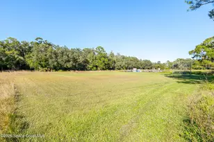 6848 Norman Dr, Melbourne, FL 32904 - Photo 58