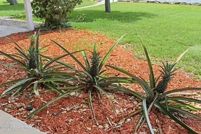 3028 Newfound Harbor Drive, Merritt Island, FL 32952 - Photo 54