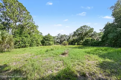 4785 Harrison Road, Mims, FL 32754 - Photo 24