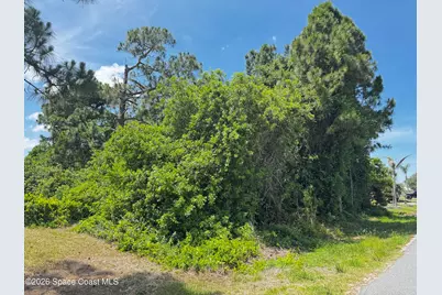2172 Rockabye Avenue SE, Palm Bay, FL 32909 - Photo 2