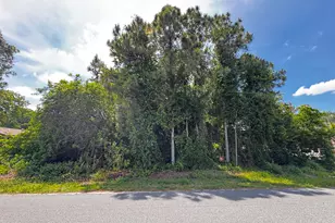2172 Rockabye Ave SE, Palm Bay, FL 32909 - Photo 1