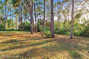 852 Lamplighter Dr NW, Palm Bay, FL 32907 - Photo 26