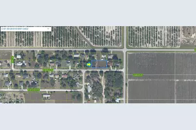 1546 W Batavia Road, Avon Park, FL 33825 - Photo 4