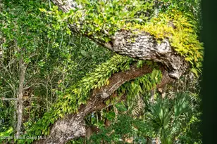 6214 Leeward Ln, Melbourne Beach, FL 32951 - Photo 24