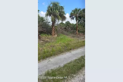 703 Dirckson Street, Palm Bay, FL 32908 - Photo 1