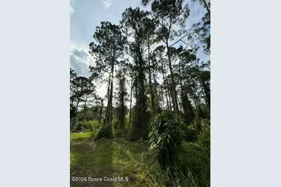 258 Krassner Drive NW, Palm Bay, FL 32907 - Photo 6