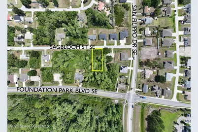 1317 Sagbloom Street SE, Palm Bay, FL 32909 - Photo 1