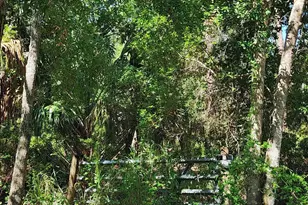 9581 Parker Dr, Micco, FL 32976 - Photo 2