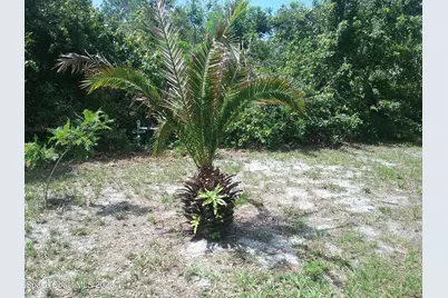 1609 Ridge Drive, Cocoa, FL 32926 - Photo 30
