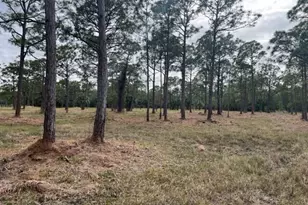 0000 Govan Ave, Malabar, FL 32950 - Photo 1