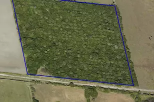 0 Orlando - 10 Acres Ave, Mims, FL 32754 - Photo 1