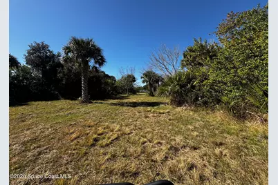 0 Grantline 10 Acres Road, Mims, FL 32754 - Photo 12