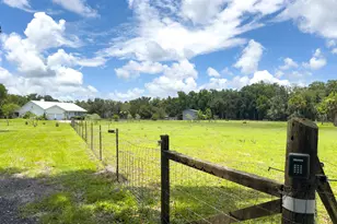 1140 Turnbull Grove Rd, Oak Hill, FL 32759 - Photo 56
