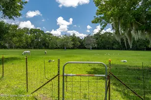 1140 Turnbull Grove Rd, Oak Hill, FL 32759 - Photo 72