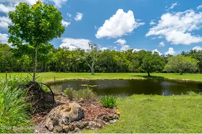 1140 Turnbull Grove Road, Oak Hill, FL 32759 - Photo 38