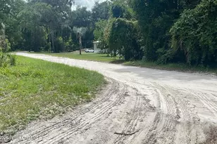 3323 NE 135th St, Anthony, FL 32617 - Photo 4