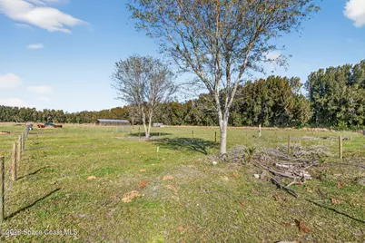 1324 Panther Lane, Merritt Island, FL 32953 - Photo 24