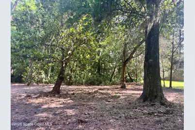 0 Carter Road, Mims, FL 32754 - Photo 12