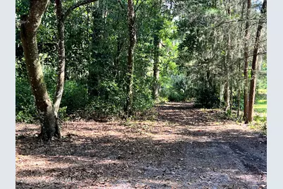 0 Carter Road, Mims, FL 32754 - Photo 16