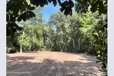 0 Carter Road, Mims, FL 32754 - Photo 4