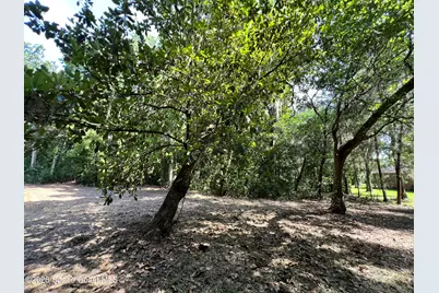 0 Carter Road, Mims, FL 32754 - Photo 14