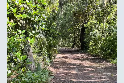 0 Carter Road, Mims, FL 32754 - Photo 10
