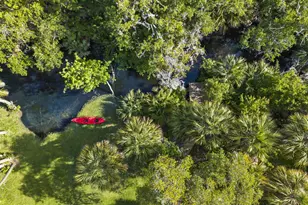 881 Mandarin Dr NE, Palm Bay, FL 32905 - Photo 64