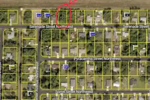 1025 Serenade St NW, Palm Bay, FL 32907 - Photo 1
