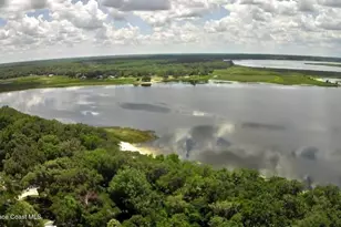 25091 NE 143rd Pl, Fort Mc Coy, FL 32134 - Photo 18