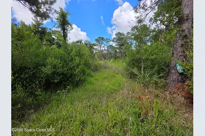 4863 Meadow Green Road, Mims, FL 32754 - Photo 2