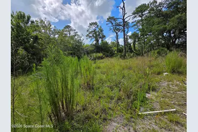4863 Meadow Green Road, Mims, FL 32754 - Photo 10