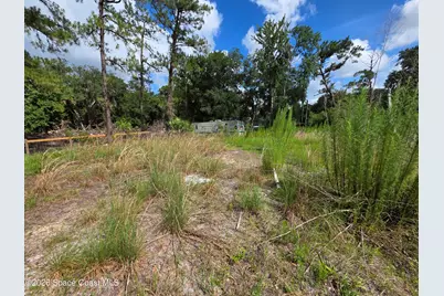 4863 Meadow Green Road, Mims, FL 32754 - Photo 12
